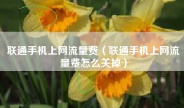 联通手机上网流量费（联通手机上网流量费怎么关掉）