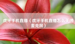 虎牙手机直播（虎牙手机直播怎么关闭麦克风）