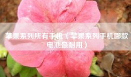 苹果系列所有手机（苹果系列手机哪款电池最耐用）