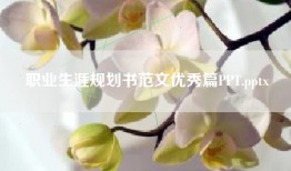 职业生涯规划书范文优秀篇PPT.pptx
