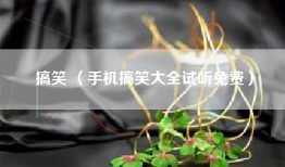 搞笑 （手机搞笑大全试听免费）