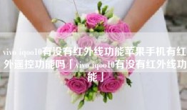 vivo iqoo10有没有红外线功能苹果手机有红外遥控功能吗「vivo iqoo10有没有红外线功能」