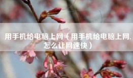 用手机给电脑上网（用手机给电脑上网,怎么让网速快）
