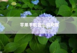 苹果手机怎么调亮度