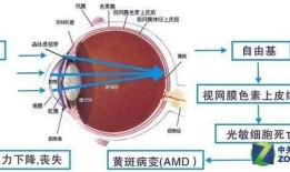 有声有色的阅读手机 海信手机A5 Pro 彩墨屏CC版全面评测手机阅读「有声有色的阅读手机 海信手机A5 Pro 彩墨屏CC版全面评测」