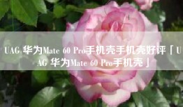 UAG 华为Mate 60 Pro手机壳手机壳好评「UAG 华为Mate 60 Pro手机壳」