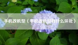 手机改机型（手机改机型有什么坏处）