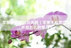 苹果手机微信没声音（苹果手机微信没声音怎么回事儿）