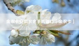 金农卡安徽农金手机银行「金农卡」