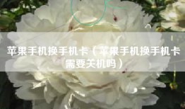 苹果手机换手机卡（苹果手机换手机卡需要关机吗）