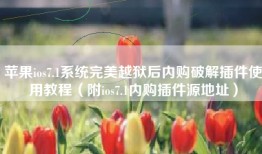 苹果ios7.1系统完美越狱后内购破解插件使用教程（附ios7.1内购插件源地址）