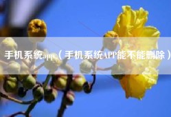 手机系统app（手机系统APP能不能删除）