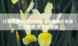 红色警戒2完美收藏版红警复仇手机版「红色警戒2完美收藏版」