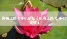 海贼王路飞手机壁纸（航海王路飞 手机壁纸）
