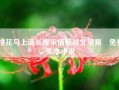 桃花马上请长缨宋惜惜战北望易昉免费全本小说