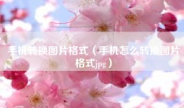 手机转换图片格式（手机怎么转换图片格式jpg）