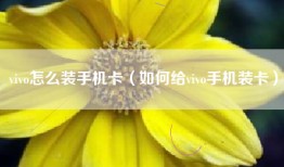 vivo怎么装手机卡（如何给vivo手机装卡）