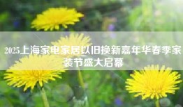 2025上海家电家居以旧换新嘉年华春季家装节盛大启幕