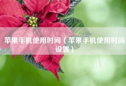 苹果手机使用时间（苹果手机使用时间设置）