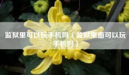 监狱里可以玩手机吗（监狱里面可以玩手机吗）