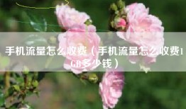 手机流量怎么收费（手机流量怎么收费1GB多少钱）