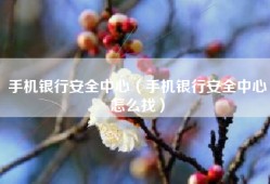 手机银行安全中心（手机银行安全中心怎么找）