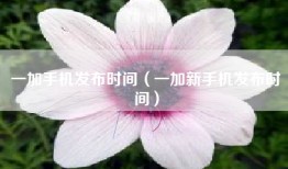 一加手机发布时间（一加新手机发布时间）