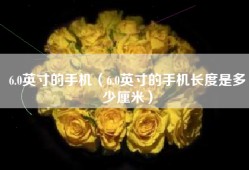 6.0英寸的手机（6.0英寸的手机长度是多少厘米）