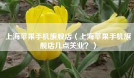 上海苹果手机旗舰店（上海苹果手机旗舰店几点关业？）