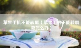 苹果手机不能转屏（苹果手机不能转屏幕怎么办）