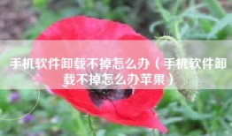 手机软件卸载不掉怎么办（手机软件卸载不掉怎么办苹果）