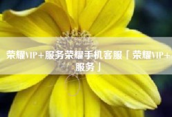 荣耀VIP+服务荣耀手机客服「荣耀VIP+服务」