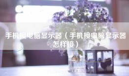 手机接电脑显示器（手机接电脑显示器怎样接）