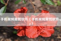 手机视频裁剪软件（手机视频裁剪软件app）