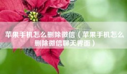 苹果手机怎么删除微信（苹果手机怎么删除微信聊天界面）