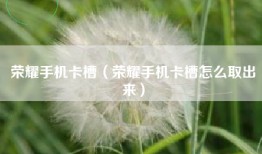 荣耀手机卡槽（荣耀手机卡槽怎么取出来）
