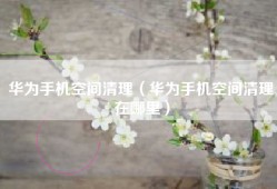 华为手机空间清理（华为手机空间清理在哪里）