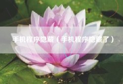手机程序隐藏（手机程序隐藏了）