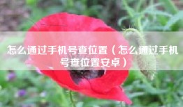 怎么通过手机号查位置（怎么通过手机号查位置安卓）