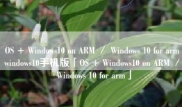 OS + Windows10 on ARM ／ Windows 10 for armwindows10手机版「OS + Windows10 on ARM ／ Windows 10 for arm」