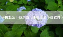 手机怎么下载东西（手机怎么下载软件）