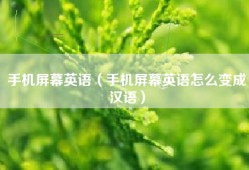 手机屏幕英语（手机屏幕英语怎么变成汉语）