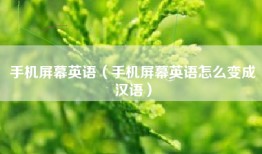 手机屏幕英语（手机屏幕英语怎么变成汉语）