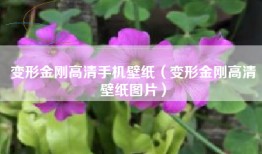 变形金刚高清手机壁纸（变形金刚高清壁纸图片）