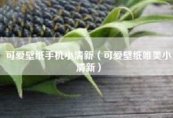 可爱壁纸手机小清新（可爱壁纸唯美小清新）