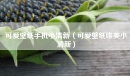 可爱壁纸手机小清新（可爱壁纸唯美小清新）