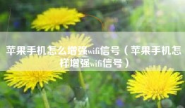 苹果手机怎么增强wifi信号（苹果手机怎样增强wifi信号）