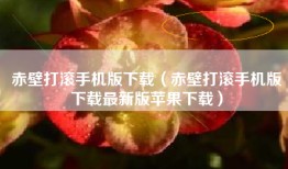 赤壁打滚手机版下载（赤壁打滚手机版下载最新版苹果下载）