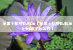 苹果手机登陆邮箱（苹果手机登陆邮箱密码忘了怎么办）