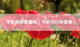 手机能称重量吗（手机可以称重嘛）